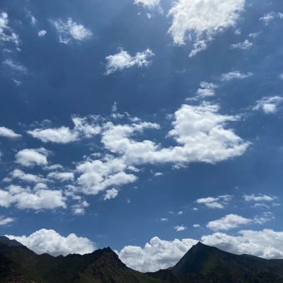 cxlg_X's profile picture. Crypto enthusiast