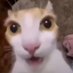 rosies whore (@ayn_lk) Twitter profile photo rosies whore (@ayn_lk) Twitter profile photo