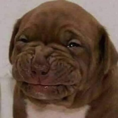 Transportes9815's profile picture. 