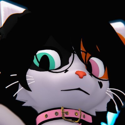 He/Him or They/Them / Silly calico cat on VRChat / 19 / No zoos or pedos (burn in hell bro)