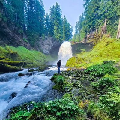 textomaldito's profile picture. 