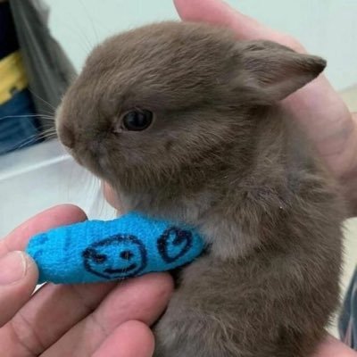 E_Ha__'s profile picture. 옥동자 메가톤바 와일드바디 까마쿤 조아~