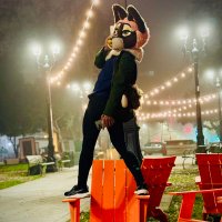 Midas? (@try_to_kipup) 's Twitter Profile