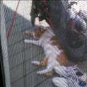 Najee Muhammad - @najee_muhammad - Twitter