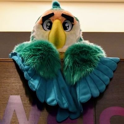 Fursuit account of @herr_kater86 Blaumond the Galaxy Dutch Angel Dragon by @MaskedMerchantZ 🖤💙💜 Bubba the Dutch Blue Peach-faced Lovebird by @Beastcub 🤍💚🧡