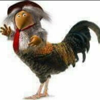 ontheedgeracing's profile picture. Realist