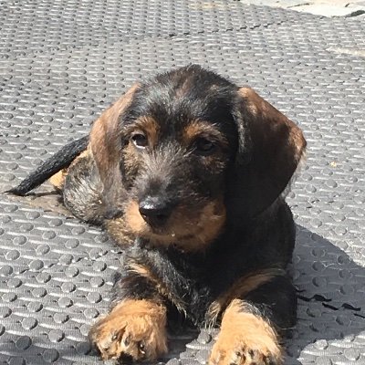 fokkektb's profile picture. 