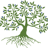 Olive Tree Initiative (@olivetreeinit) 's Twitter Profile