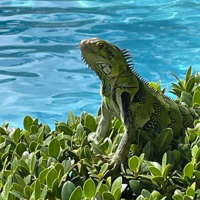 expidition80798's profile picture. 