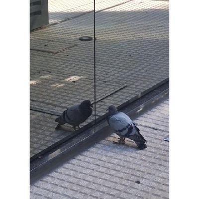 XdApk9903's profile picture. 21🍍
salta, arg
npc