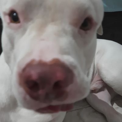 Jao_htps's profile picture. 17y

Não sei, sou legal