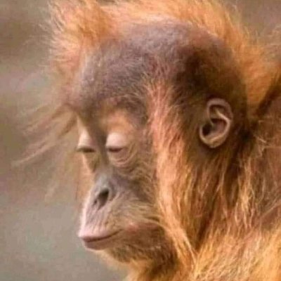 يارب...ادعوك بكل ذره من كيانى الا تتخلى عنى مهما بدر منى 🤲
اللهم أغفر لأخى وارحمه واجعل قبره روضه من رياض الجنه 🤲