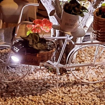 Blindsp81998797's profile picture. 