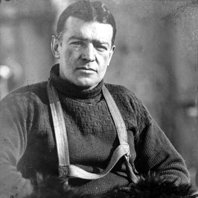 MaxfieldZ's profile picture. 