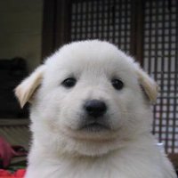 Bud (@budfanclub) 's Twitter Profile Photo Bud (@budfanclub) 's Twitter Profile Photo