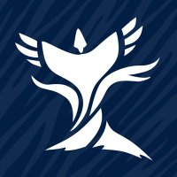 Learn Na’vi @ Kelutral.org (@kelutralro) 's Twitter Profile