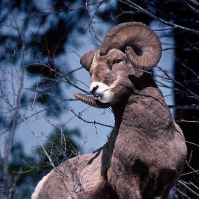 Will_3087's profile picture. 