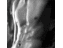 HotMaleScenes's profile image