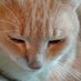 Smilla (@ievakalnia34183) Twitter profile photo Smilla (@ievakalnia34183) Twitter profile photo