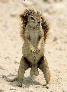 NuttyLumpkin's profile picture. #AtheistRollCall #Atheist #Freethinker #Antireligion other stuff