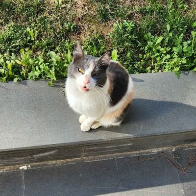 breakさんのプロフィール画像