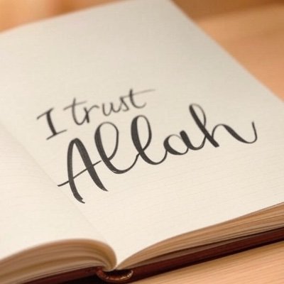 Halal_Healing's profile picture. Achieve the Perfect Blend of Confidence and Humility, 
Inshallah 🙏🏻