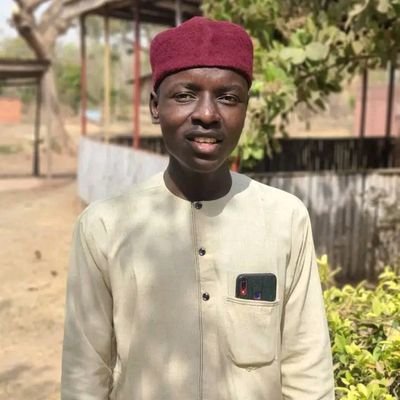 AliyuAI01's profile picture. 