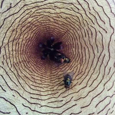 B97222Christian's profile picture. 