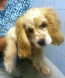 MarilynHanbyDur's profile picture. Mother of 2grand to three,learn new cultures. Love my church and workg for our city. Hooked on politics and want to return our country to reasonable leadership.