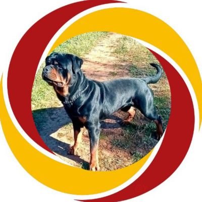 Digo lo que creo y si no te gusta, (No) lo siento.✝️🇪🇦☀️🎵🎶🐶🐕🦺⚽🥋
