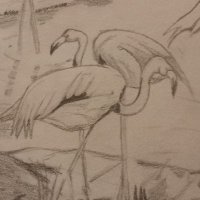 sup sep (@supsep49) 's Twitter Profile