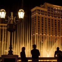 Las Vegas Mat (@mathewcross8994) 's Twitter Profile Photo Las Vegas Mat (@mathewcross8994) 's Twitter Profile Photo