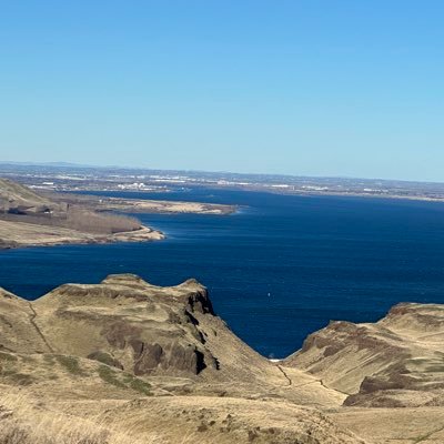 RobinShea1's profile picture. Dog and cat mom, lover of birds, plants , big sky and clouds.