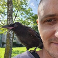 Peter Piksa (@peterpiksa) 's Twitter Profile Photo Peter Piksa (@peterpiksa) 's Twitter Profile Photo