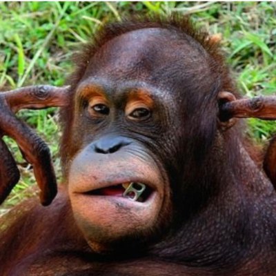 BlakeJohn12204's profile picture. 