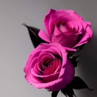 ميما (@mmf11011f) 's Twitter Profile