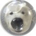 𝖉𝕚snǝy ✿ 𝚍o𝑙𝑙s ! (@disneyziper) Twitter profile photo 𝖉𝕚snǝy ✿ 𝚍o𝑙𝑙s ! (@disneyziper) Twitter profile photo