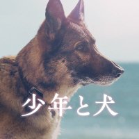 映画『少年と犬』公式 (@shonentoinu_mv) 's Twitter Profile Photo 映画『少年と犬』公式 (@shonentoinu_mv) 's Twitter Profile Photo