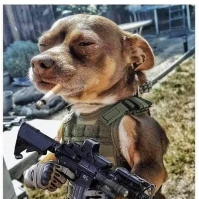 Brnx_Bomber's profile picture. 