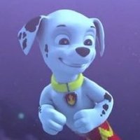 🔥❤️ Marshall 🐾🦴 (@marshall_pup03) 's Twitter Profile