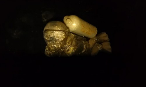 gratefuldivers's profile picture. 