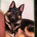 Greg Belcher - @Gregdbelcher - Twitter