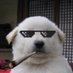 TheDailyBeeg 💬🧠 (@thedailybeeg) Twitter profile photo