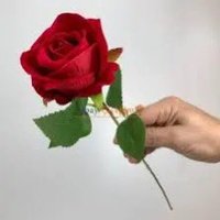 hsyn (@hsyn2941h) 's Twitter Profile