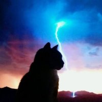 light architect (@iceberm) 's Twitter Profile