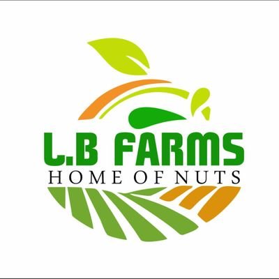 RAW CASHEW NUTS and other NUTS SUPPLIERS in large quantities, contact us today for your orders, WHATSAPP; +2348151547643, lbfarmshomeofnuts@gmail.com