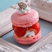 🍓tonton🌿 (@tonton90394145) 's Twitter Profile Photo