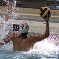 SGP Warrior Swim & Water Polo (@sgpswim) 's Twitter Profile