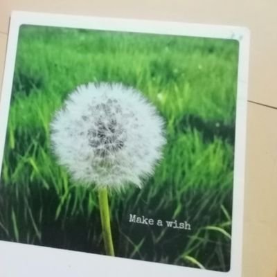 damselits's profile picture. just another fish in the ocean.