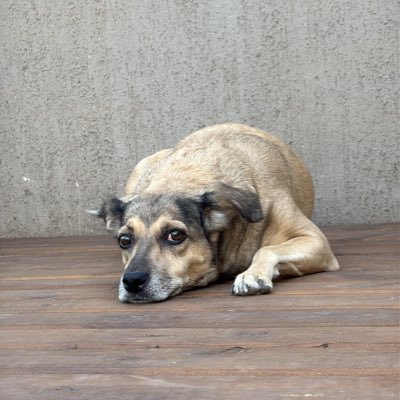 Joehaubert's profile picture. 